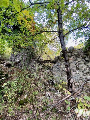Terrain 8 hectares avec ruine.
À cheval sur zones agricole et naturelle du PLU.