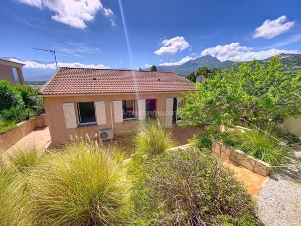 Vente Maison 5 pièces 120 m2 à Calvi