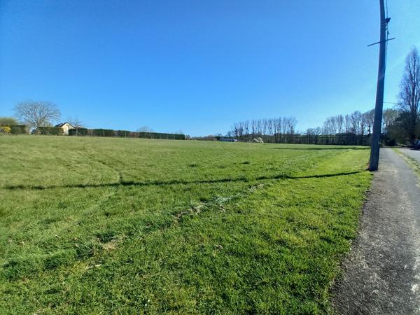 Terrain
        
        - 10455 m² 165 000 € *