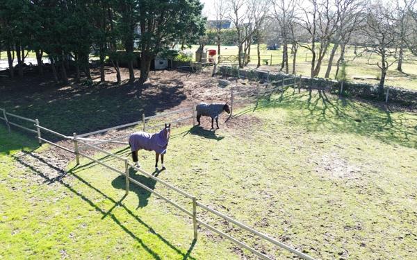 Maison à vendre    5 pièces •  Trédrez-Locquémeau