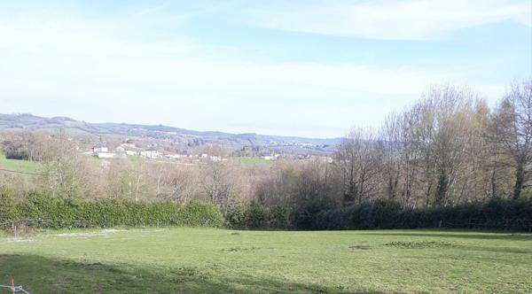 Terrain