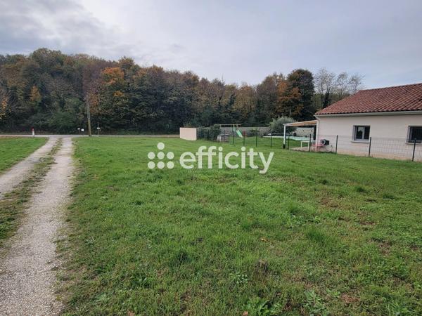 Terrain - 6000 m²