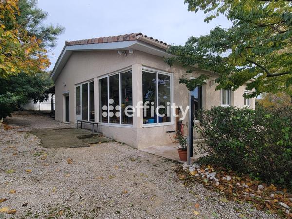 Terrain - 6000 m²