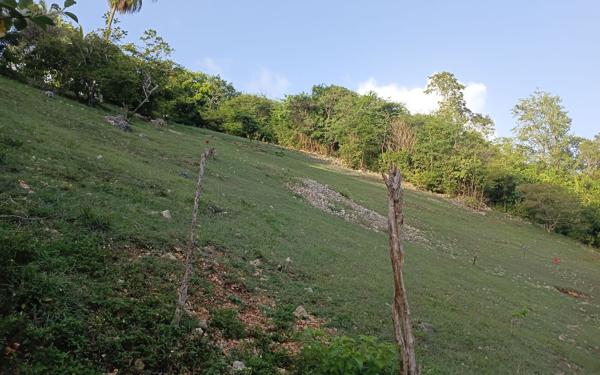 Terrain à vendre