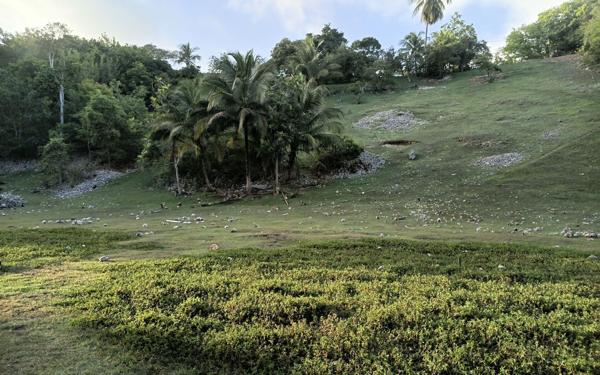Terrain à vendre
