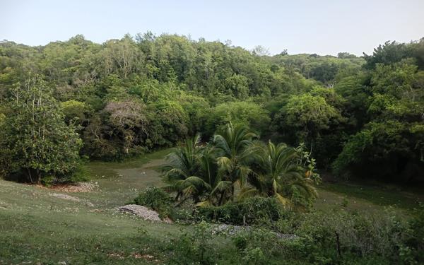 Terrain à vendre