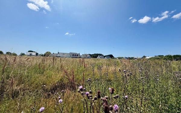 Terrain à vendre    Guérande