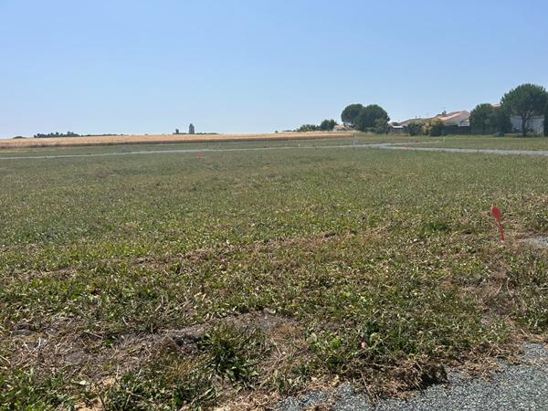 17113 MORNAC SUR SEUDRE MORNAC SUR SEUDRE