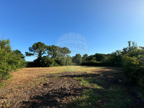 Terrain  en vente - Charente-Maritime - 17