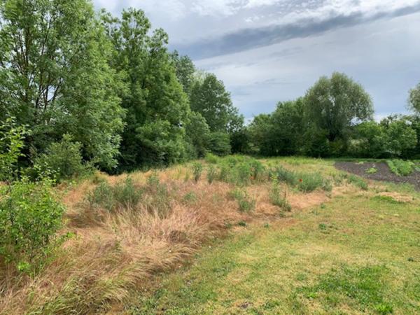 THURET TERRAIN A CONSTRUIRE