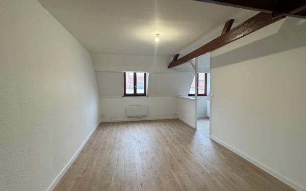 Appartement à louer    1 pièce • 40 m2 Lille