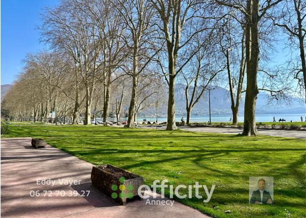 Appartement 1 pièce - 11 m² Exclusivité efficity