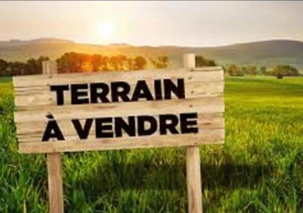 PROCHE PEYREHORADE ( Commune de Saint Cricq du Gave ) - TERRAINS BOISES - 3,9 ha