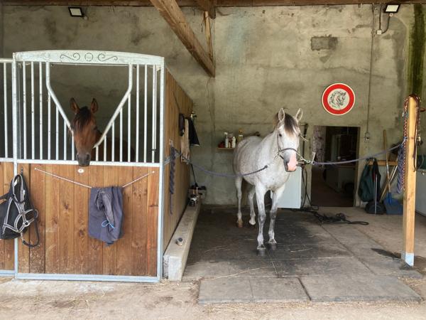Ensemble immobilier