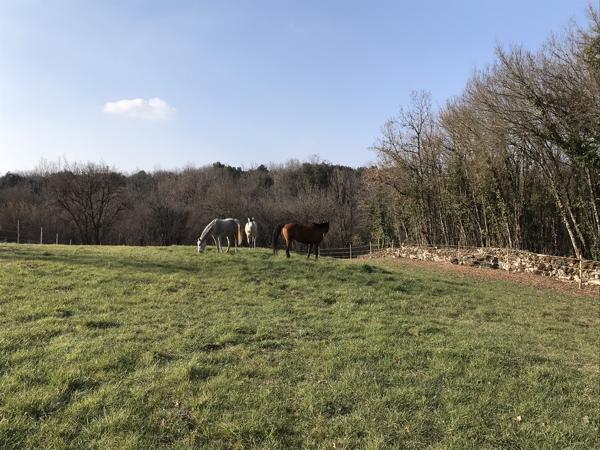Ensemble immobilier