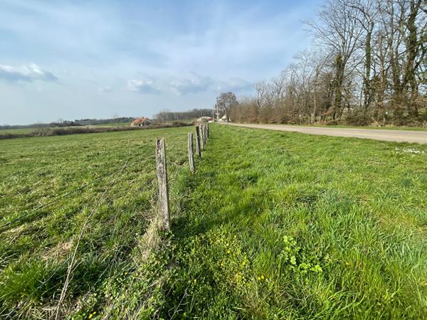 Achat terrain près de SAUVIGNEY LES PESMES - 1500 m² - 35 000 €