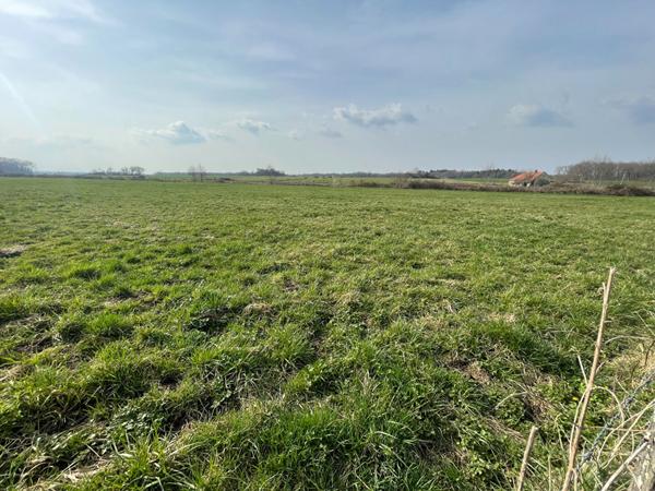 Achat terrain près de SAUVIGNEY LES PESMES - 1500 m² - 35 000 €