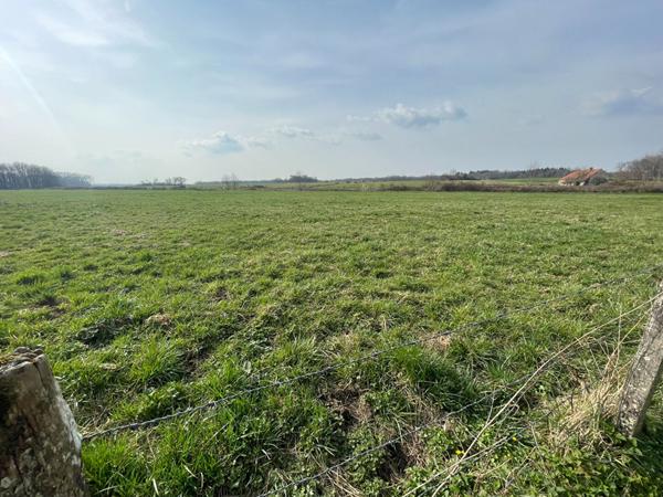 Achat terrain près de SAUVIGNEY LES PESMES - 1500 m² - 35 000 €