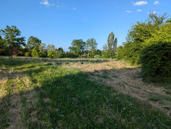 Terrain viabilisé