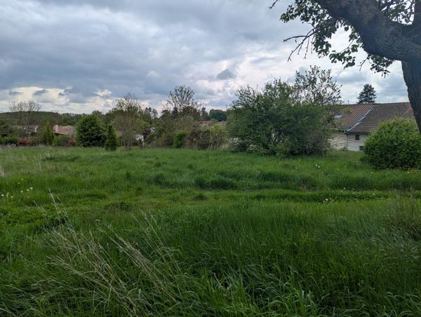 Terrain viabilisé