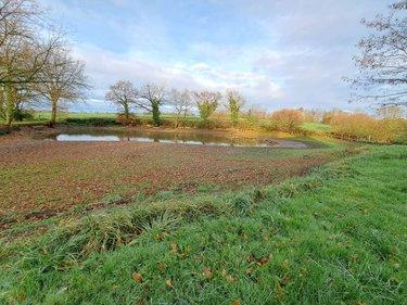 Terrain de loisirs - Bois - Etang à vendre à Chérancé en Mayenne (53400), ref : 076/2739-SAL