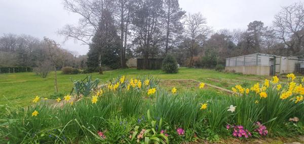 Havre de paix Néo-breton avec vue panoramique !
