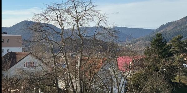 Appartement à vendre 6 pièces à SAINT DIE DES VOSGES