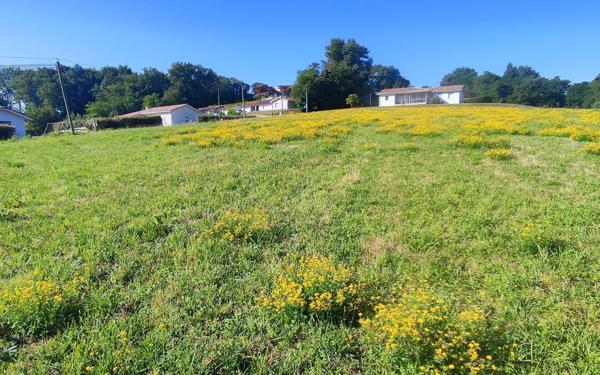 Terrain à vendre    Horsarrieu