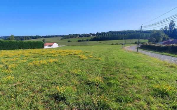 Terrain à vendre    Horsarrieu