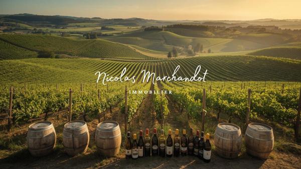 Domaine viticole historique dans le Beaujolais