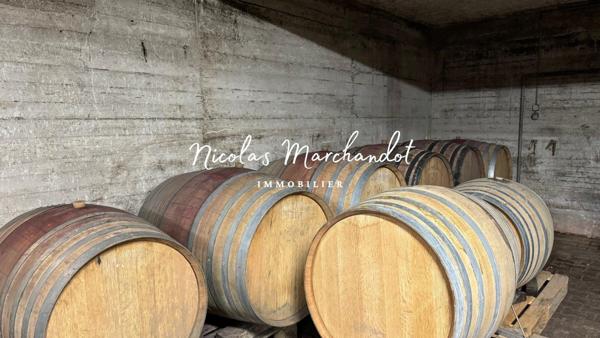 Domaine viticole historique dans le Beaujolais