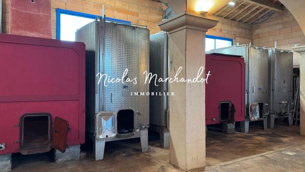 Domaine viticole historique dans le Beaujolais