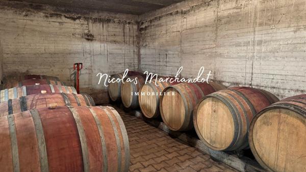 Domaine viticole historique dans le Beaujolais