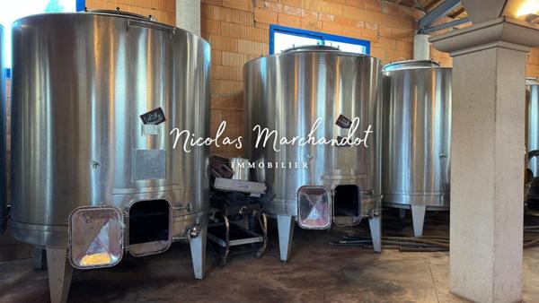 Domaine viticole historique dans le Beaujolais