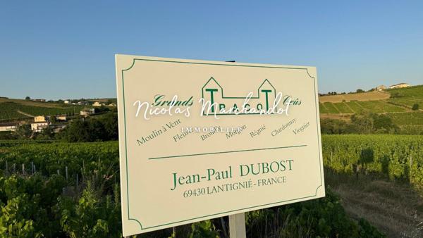 Domaine viticole historique dans le Beaujolais