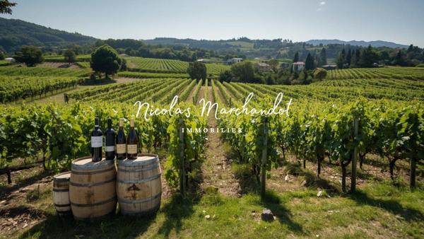 Domaine viticole historique dans le Beaujolais