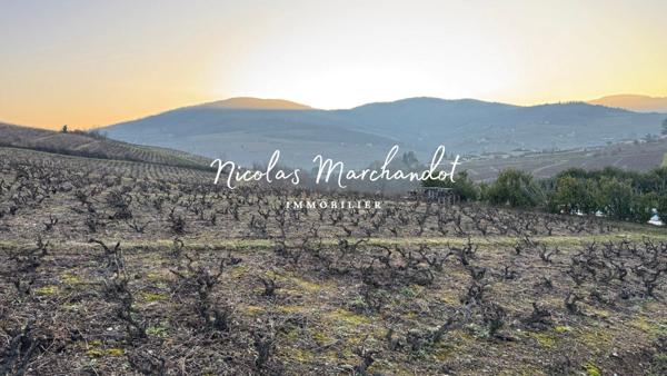 Domaine viticole historique dans le Beaujolais