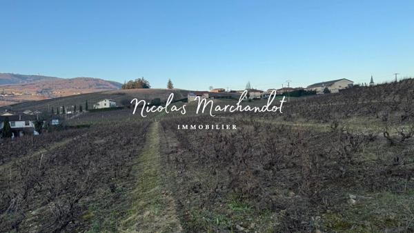 Domaine viticole historique dans le Beaujolais