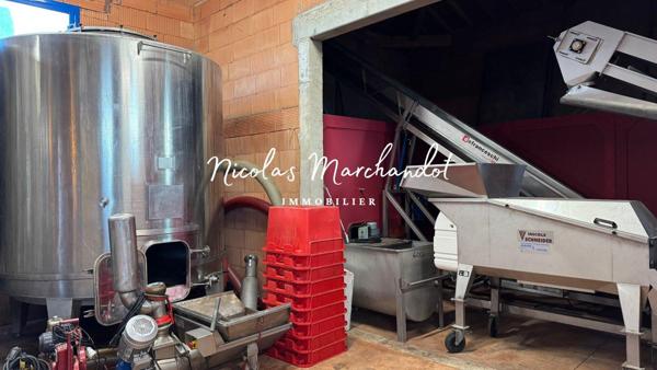 Domaine viticole historique dans le Beaujolais