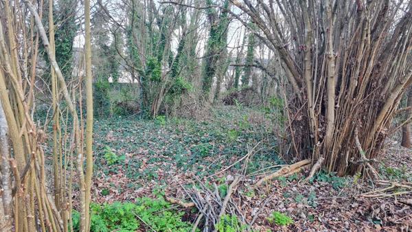 Terrain constructible non viabilisé 917 ou 560 m² près de Montargis. 54 000 €