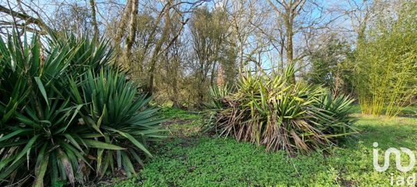 Maison à vendre 7 pièces 226 m² Apremont