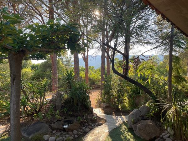 Vente / Maison de plain-pied