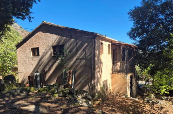 Propriete à vendre 7 pièces CORTE (20)