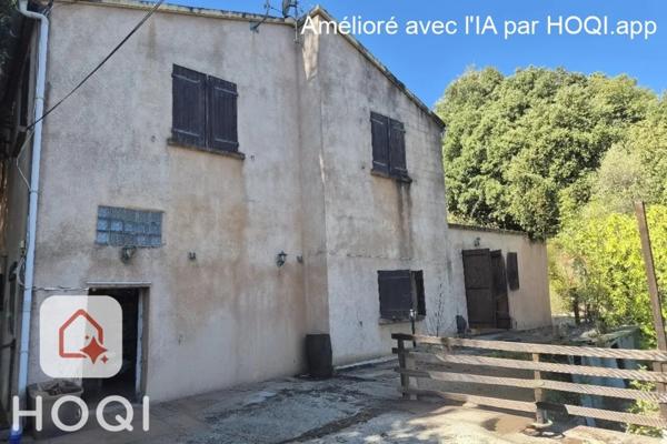 Propriete à vendre 7 pièces CORTE (20)