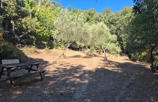 Propriete à vendre 7 pièces CORTE (20)