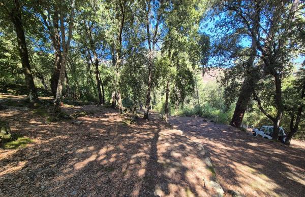 Propriete à vendre 7 pièces CORTE (20)