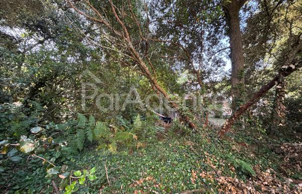 Terrain à bâtir Très proche plage