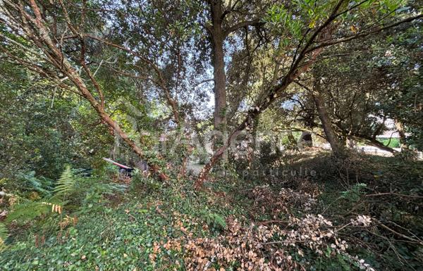 Terrain à bâtir Très proche plage