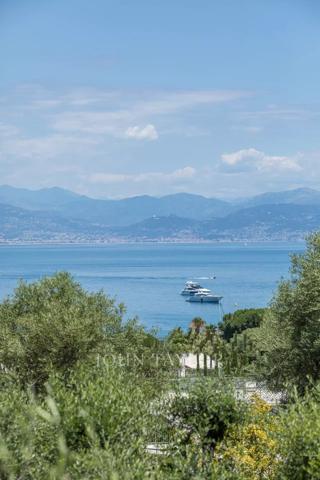 Cap d'Antibes / Proche Garoupe