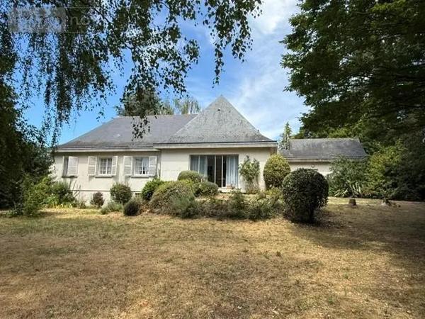 Achat - Maison Martigné-Briand 49540 10 pièces 179 m 2 3275 m 2